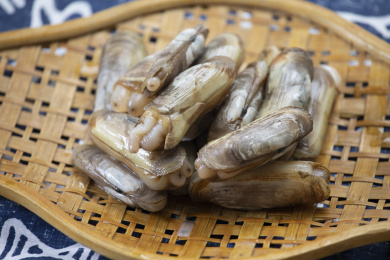 海鲜贝类蛏子