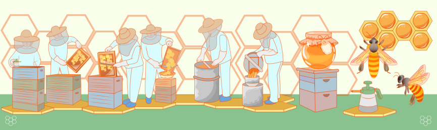 采蜜养蜂人采蜂人蜂蜜蜜糖矢量插画