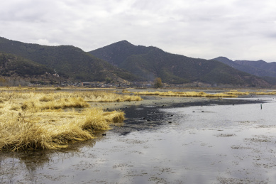 中国云南省丽江市泸沽湖风景区走婚桥草海