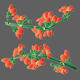 红橘木棉花
