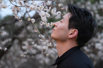 年轻帅气的中国男子闭上眼闻枝头梅花的花香