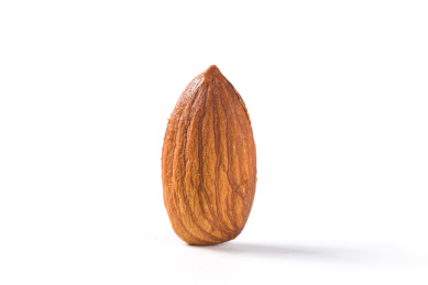 白底上的一个巴旦木果仁