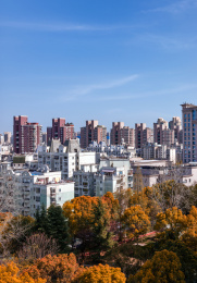 中国上海居民区