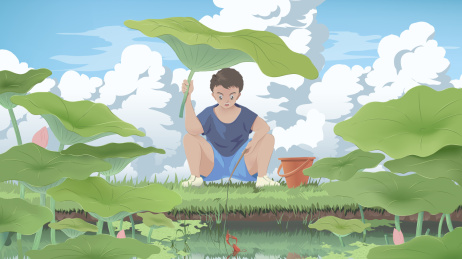 少年夏天在荷塘钓龙虾