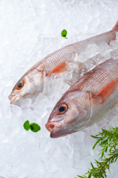 冰块上的新鲜刺身食材深海鱼