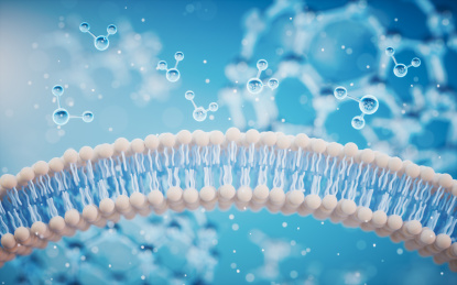 磷脂双分子细胞膜3D渲染