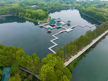 中国湖北武汉东湖风景区春季风光