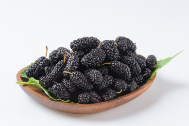 白底上的一盘新鲜桑葚