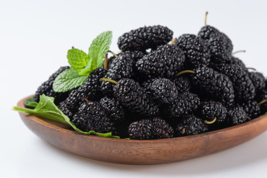 白底上的一盘新鲜桑葚