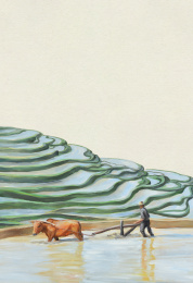 二十四节气之小满