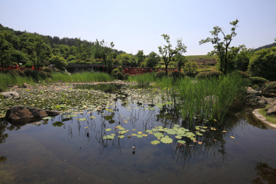 中国浙江南京银杏湖景观