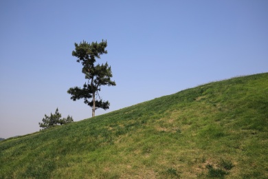 中国江苏南京银杏湖景观