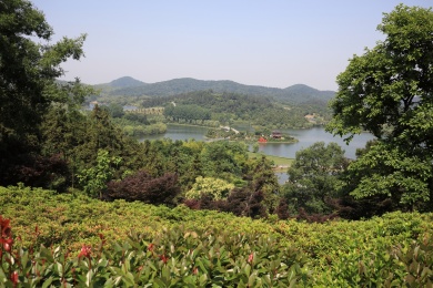 中国江苏南京银杏湖景观