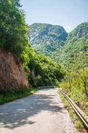 大山中的水泥铺装路局部