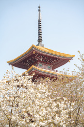 武汉东湖樱园五重塔