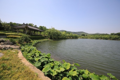 中国江苏南京银杏湖风景