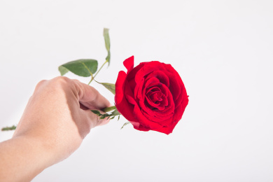 手拿一朵玫瑰鲜红