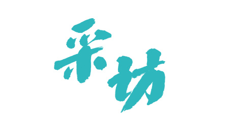 中国书法字体采访 中国