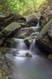 石林小溪山中溪流