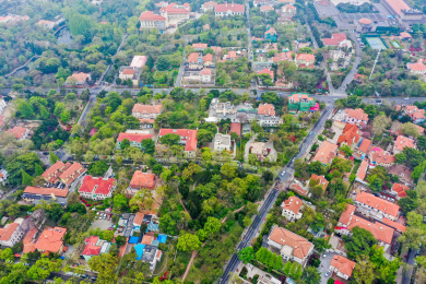 航拍中国山东青岛八大关景区红瓦绿树风光