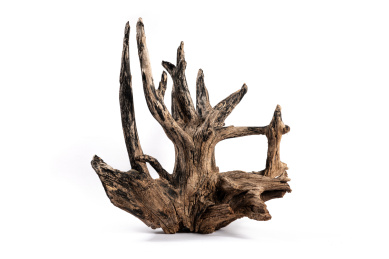 白底上的朽木枯木素材