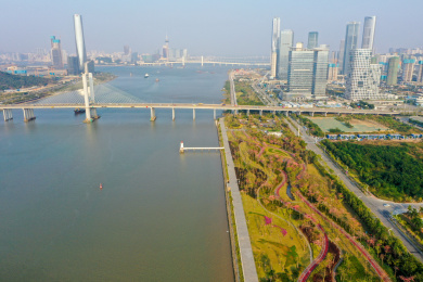 航拍广东珠海横琴花海长廊樱花木棉景观区