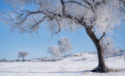 中国内蒙冬季雪景