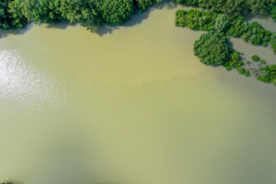 航拍中国三亚丰兴隆生态公园三亚河临春河三角洲