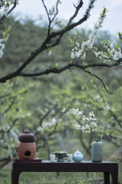 中国风李花树红泥炉子花瓶茶具 