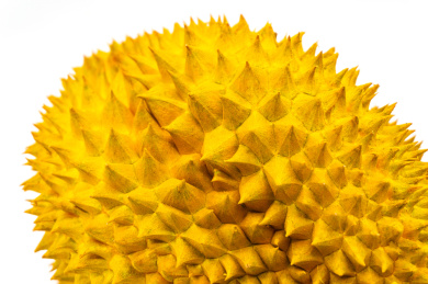 白背景一个榴莲特写