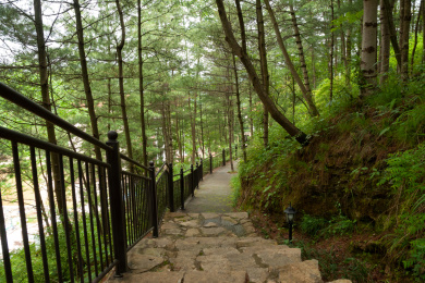 重庆市巫山县摩天岭森林公园