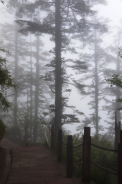 四川洪雅瓦屋山雾景