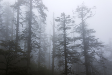 四川洪雅瓦屋山雾景