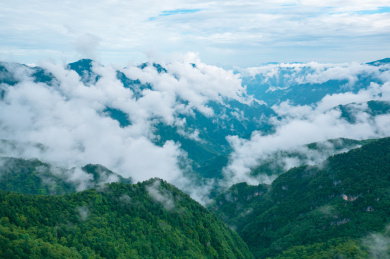 中国湖北神农架森林峡谷神农顶自然风光