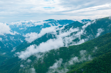 中国湖北神农架森林峡谷神农顶自然风光