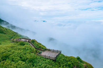 中国湖北神农架森林峡谷神农顶自然风光