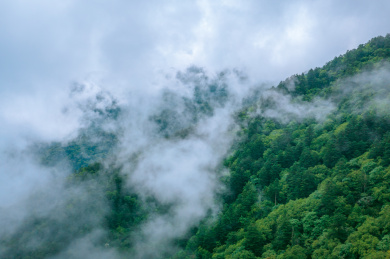 中国湖北神农架森林峡谷神农顶自然风光