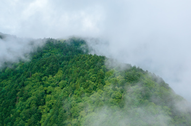 中国湖北神农架森林峡谷神农顶自然风光