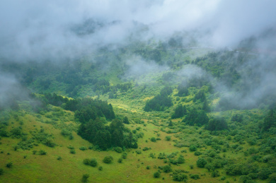 中国湖北神农架森林峡谷神农顶自然风光