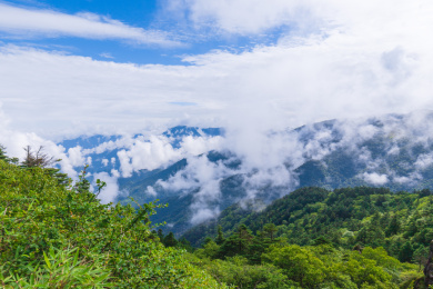 中国湖北神农架森林峡谷神农顶自然风光