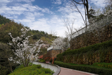中国浙江杭州市临安区青山湖风光
