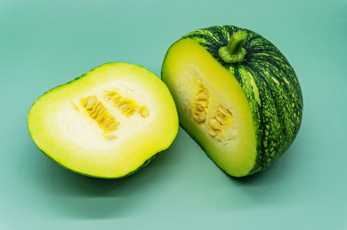 绿色背景一个绿色的嫩南瓜