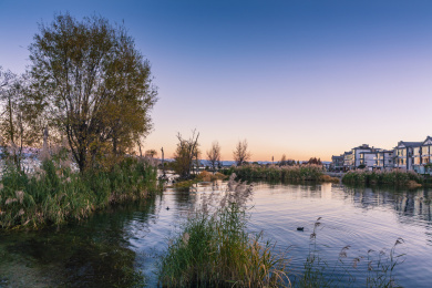 中国云南大理才村码头黄昏的洱海湿地风光