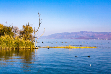 中国云南大理才村码头洱海风光