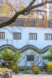 中国江苏南京甘熙宅第花园