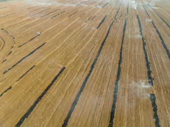 春耕之际农民焚烧秸秆