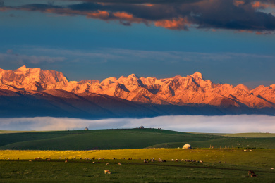 中国新疆伊犁夏季草原