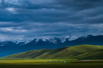 中国新疆伊犁夏季草原