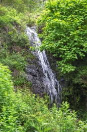 绿水青山溪