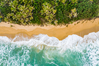 空中俯瞰沙滩上的椰林和海浪